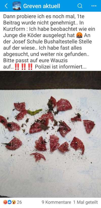 Giftköder-Giftköder in Salami-Bild
