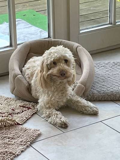 Verrückte Schlafpositionen-Beitrag-Bild