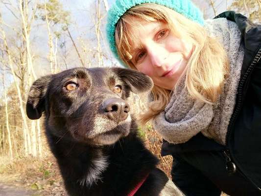 Hundetreffen-Gassirunde in Fürth-Bild