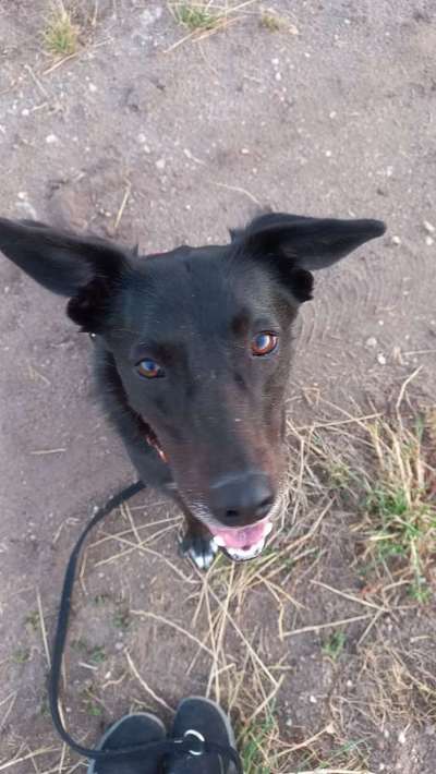 Handy-Foto Challange Nr. 10-Beitrag-Bild