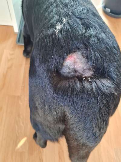 Hautausschlag?-Beitrag-Bild