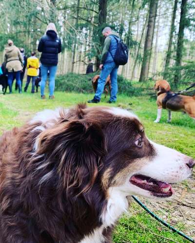 Giftköder-Social Walk-Bild