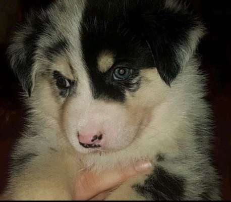 Das erste Foto-Beitrag-Bild