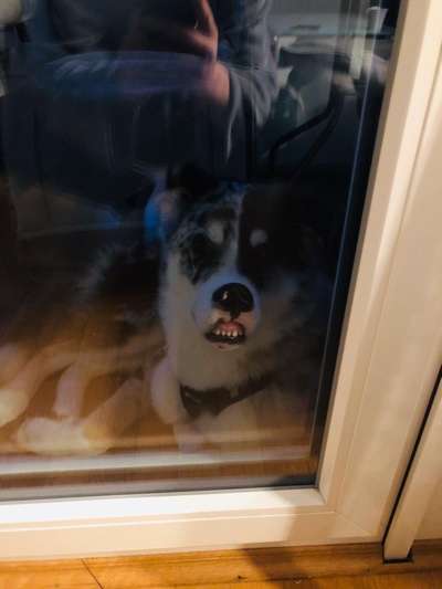 Lustige Bilder-Beitrag-Bild