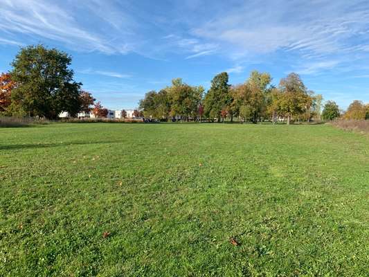 Hundeauslaufgebiet-Reesepark-Bild