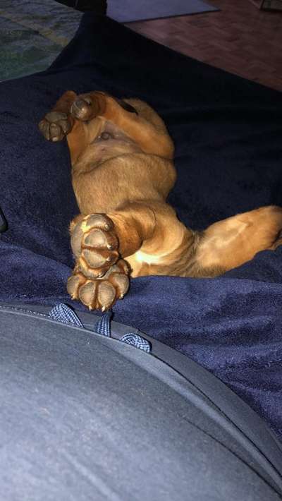 CHALLENGE NR. 34 - Liege-/Schlafpositionen-Beitrag-Bild