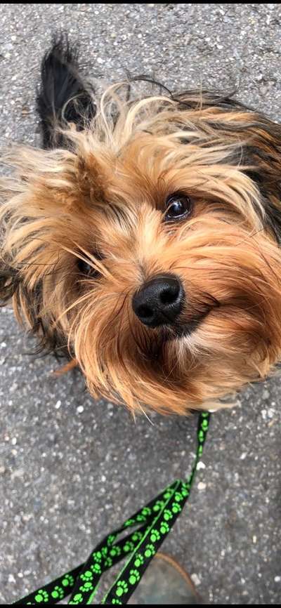 Lieblingsbild :D-Beitrag-Bild