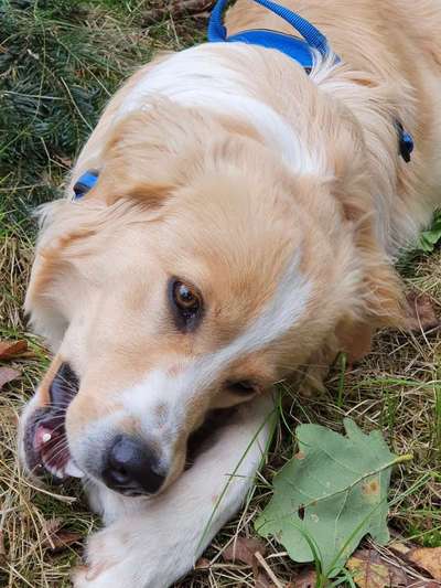 Fotochallange Nr. 57     PORTRÄT.   Beendet!!!!!!!!-Beitrag-Bild