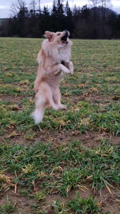 45. Handy - Foto - Challenge-Beitrag-Bild