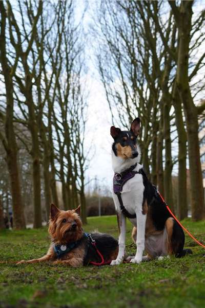 Doppelgänger gesucht !-Beitrag-Bild