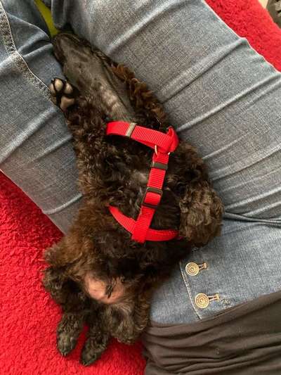 Die unbequemsten und lustigsten Schlafpositionen-Beitrag-Bild