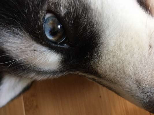 Blick fürs Detail!-Beitrag-Bild