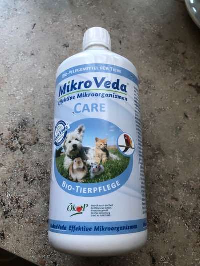 Hausstaubmilben-Beitrag-Bild