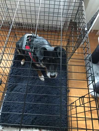 Angst vorm Partner-Beitrag-Bild