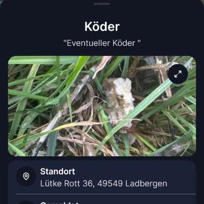 Giftköder-Eventueller Giftköder-Bild