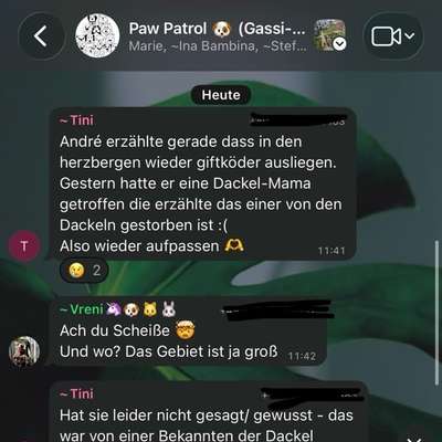Giftköder-Vermutlich Giftköder-Bild