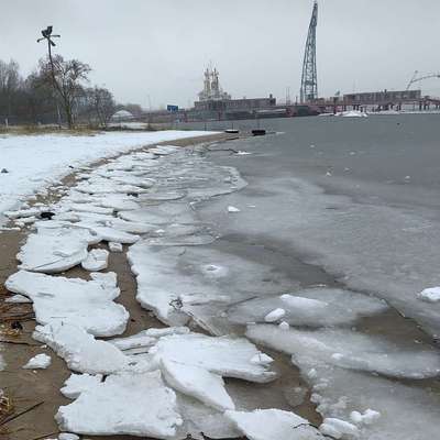 Hundestrand-Strand an der Warnow-Bild