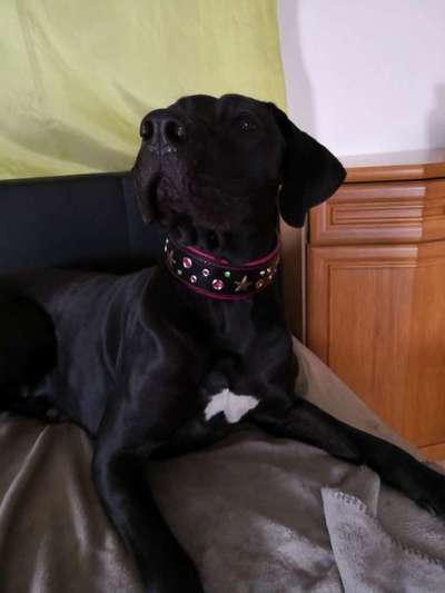 artikel-Beitrag-Bild