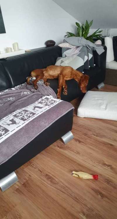 Die unbequemsten und lustigsten Schlafpositionen-Beitrag-Bild