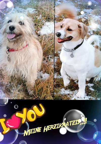 Vorher.... Nachher-Beitrag-Bild