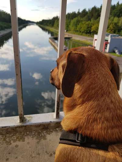 Foto Challenge Thema "Brücke"-Beitrag-Bild