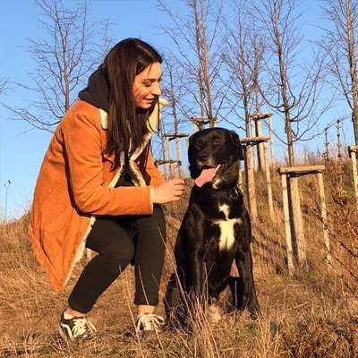 Hundmenschfotos-Beitrag-Bild