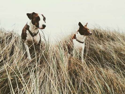 Lieblingsbild-Beitrag-Bild