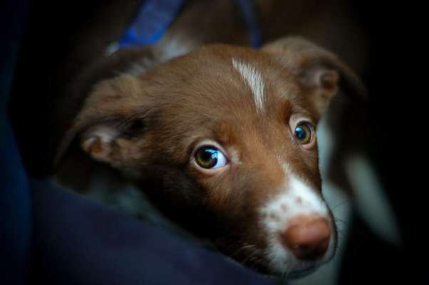 Lieblingsbild-Beitrag-Bild