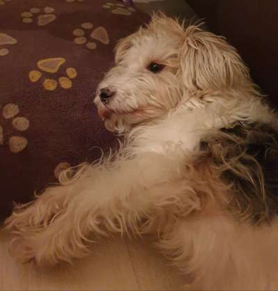 Handy-Foto Challange Nr. 10-Beitrag-Bild