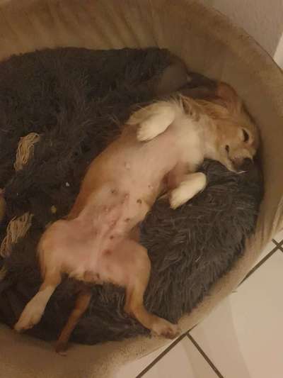 Handy-Foto Challange Nr. 10-Beitrag-Bild