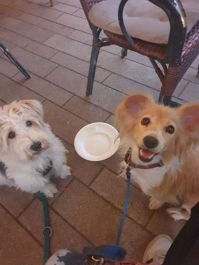 Handy-Foto Challange Nr. 10-Beitrag-Bild