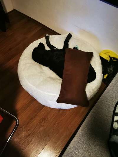 Erfahrung mit Wolkenbett-Beitrag-Bild