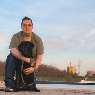 Hundetreffen-Teddy sucht gassi Kumpel-Bild