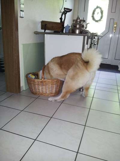 121. Fotochallenge-Beitrag-Bild