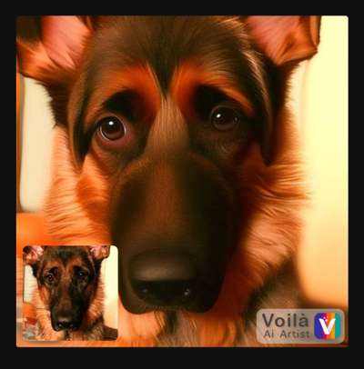 Voila app Bilder-Beitrag-Bild