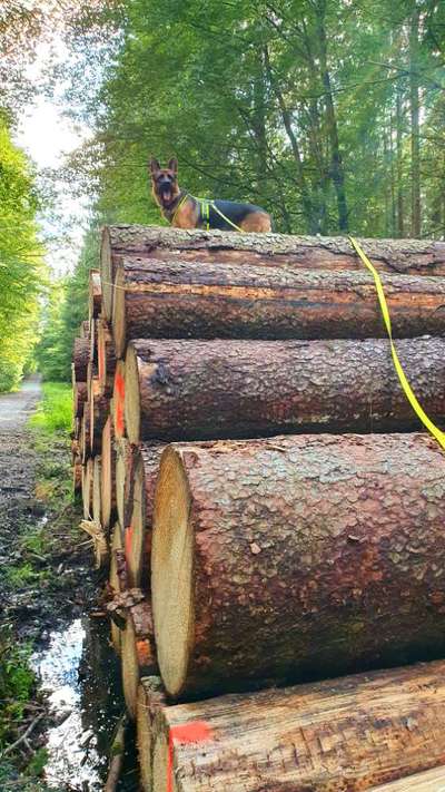 64. Handy Foto Challenge - Hoch hinaus-Beitrag-Bild