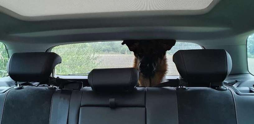 117. Fotochallenge-Beitrag-Bild