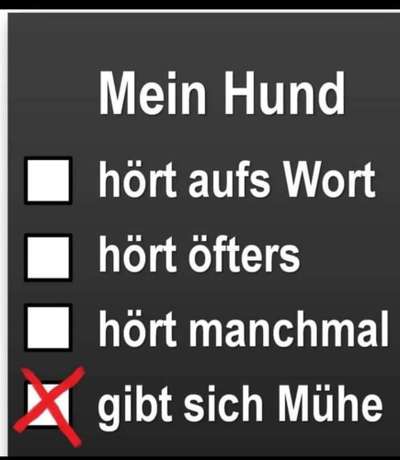 Hunde Memes-Beitrag-Bild