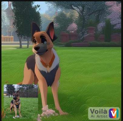 Voila app Bilder-Beitrag-Bild