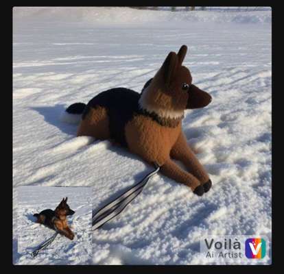 Voila app Bilder-Beitrag-Bild