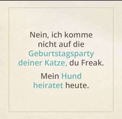 Hunde Memes-Beitrag-Bild