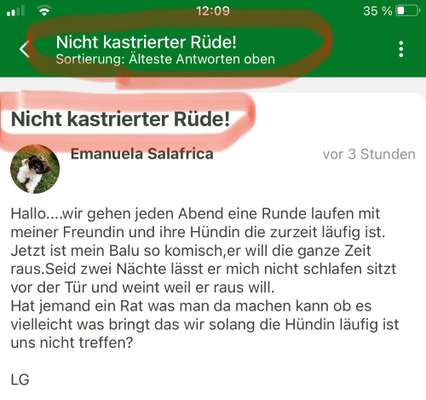 Nicht kastrierter Rüde!-Beitrag-Bild