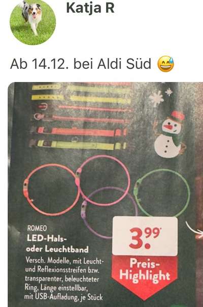 Hundesachen von Temu-Beitrag-Bild