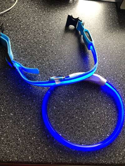 Hundesachen von Temu-Beitrag-Bild