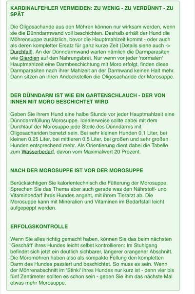 Giardien biem Hundewelpen-Beitrag-Bild