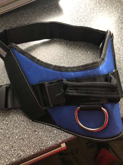 Hundesachen von Temu-Beitrag-Bild