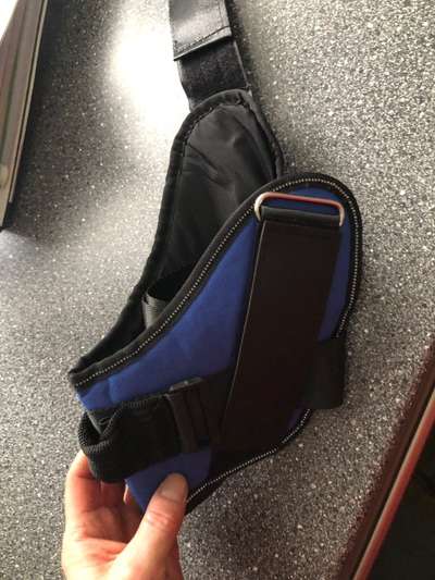 Hundesachen von Temu-Beitrag-Bild