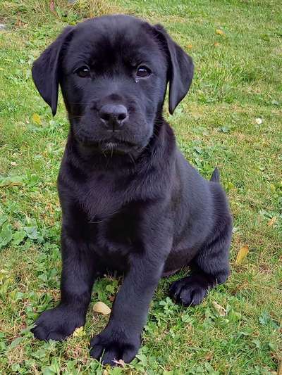 Fotochallange Nummer 5-Beitrag-Bild