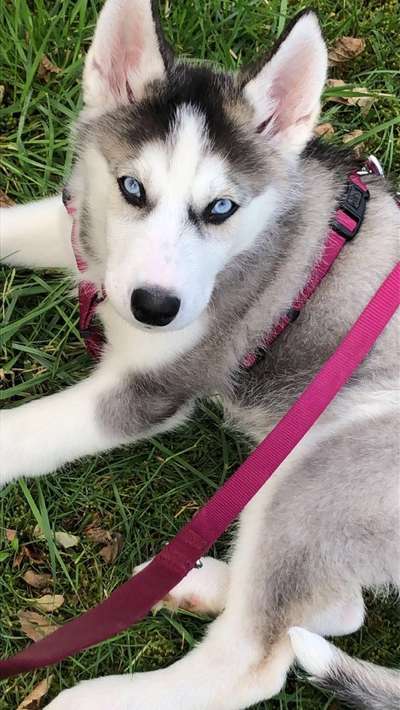 Fotochallange Nr. 57     PORTRÄT.   Beendet!!!!!!!!-Beitrag-Bild