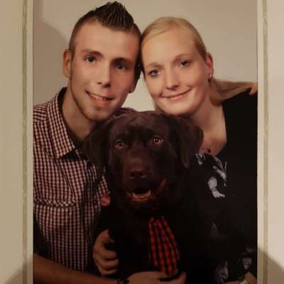 Hundetreffen-Labbi sucht neue Freunde zum gemeinsamen Auspowern-Profilbild